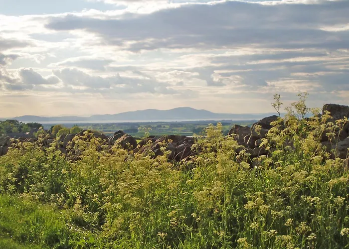 New Park Farm - Church Holiday home