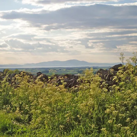 New Park Farm - Church Holiday home